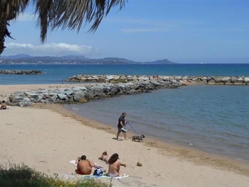 Sommerhus - 3 personer -  - 83370 - Saint Aygulf