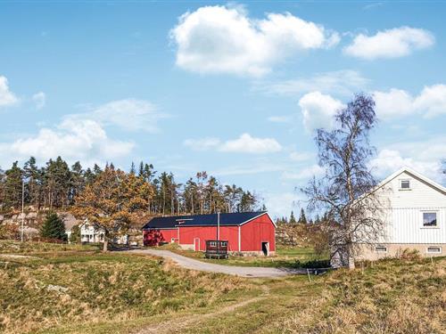 Sommerhus - 7 personer -  - Havreselandsveien - Lyngdal - 4525 - Konsmo