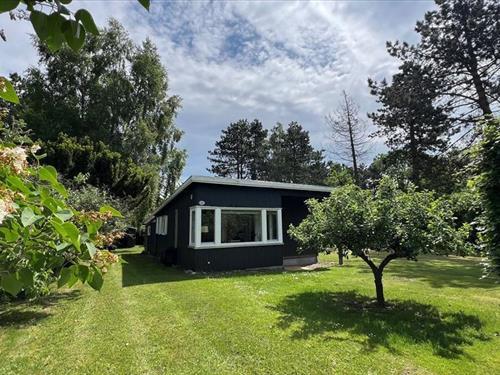 Sommerhus - 4 personer -  - Solsortvej - 4720 - Præstø