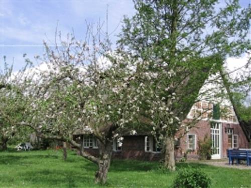 Feriehus - 6 personer -  - Neuenschleuser Straße - 21730 - Balje