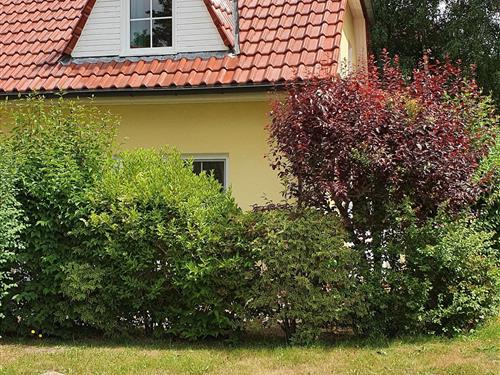 Sommerhus - 4 personer -  - Ostseewellenweg - 18374 - Ostseeheilbad Zingst