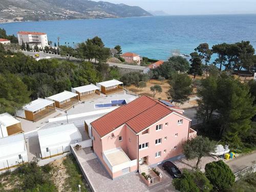 Holiday apartment - 3 persons -  - Iva Dulcica - Peljesac-Orebic - 20250 - Orebic