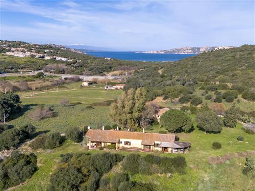 Sommerhus - 5 personer -  - Palau - 07020