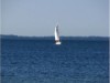 Image 23