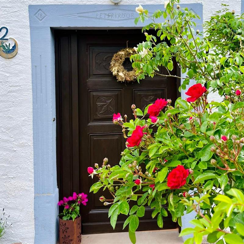 Ferielejlighed - 2 personer -  - Burbergweg - 54570 - Schutz