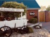 Billede 20