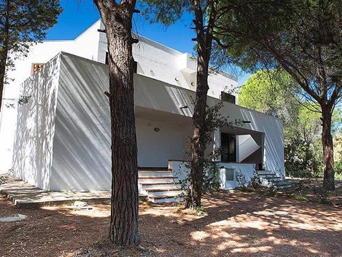 Holiday apartment - 5 persons -  - Locality Sas Linnas Siccas - 08028 - Orosei