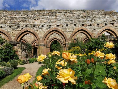  - 2 personer -  - Thomas-Müntzer-Straße - 06642 - Kaiserpfalz