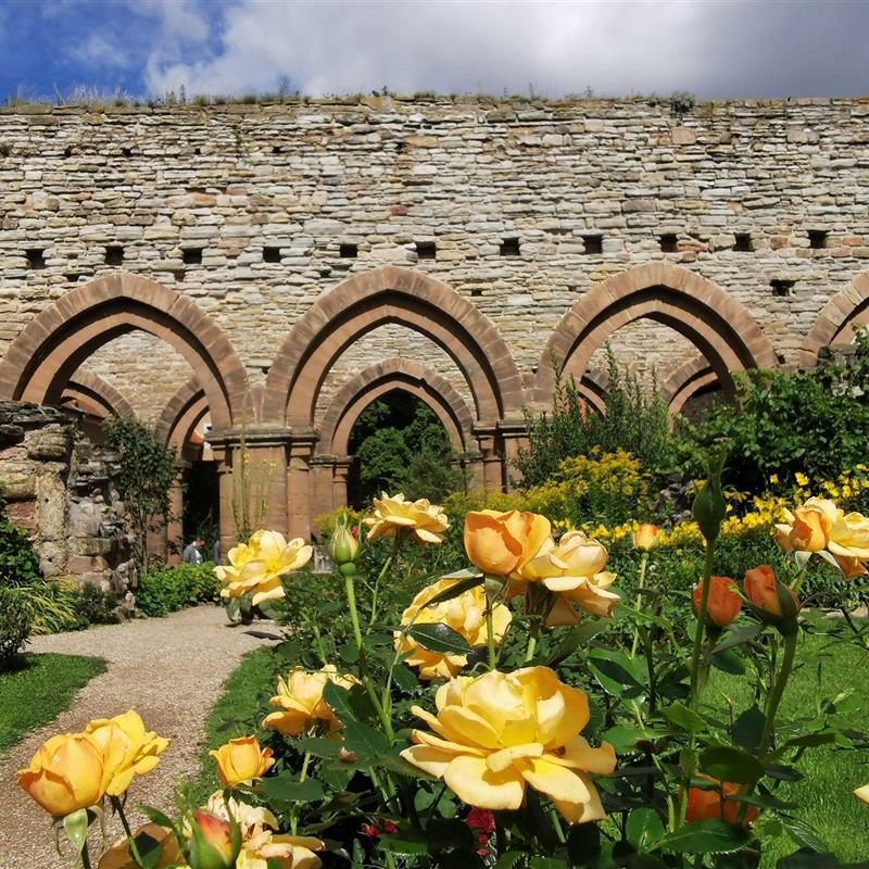  - 2 personer -  - Thomas-Müntzer-Straße - 06642 - Kaiserpfalz