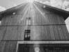 Image 16