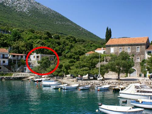 Holiday apartment - 4 persons -  - Crkvice - 20243 - Kuna Peljeska