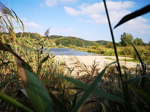 Sommerhus - 3 personer -  - Grünen Deich - 21354 - Bleckede