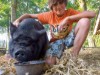 Bild 12