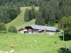 Bilde 11 - Ude
