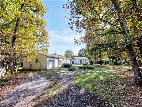 Sommerhus - 10 personer -  - Jard Sur Mer - 85520