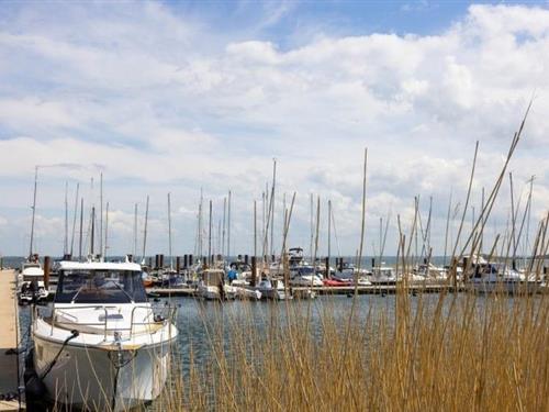 Ferieleilighet - 2 personer -  - Am Golfplatz - 23968 - Hohen Wieschendorf