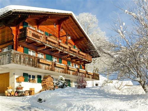 Ferielejlighed - 4 personer -  - Grindelwald - 3818