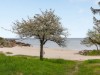 Bild 19 - Område