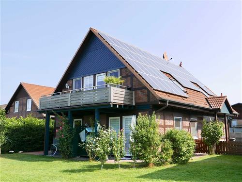 Ferienhaus - 4 Personen -  - Am Brink - 17449 - Mölschow