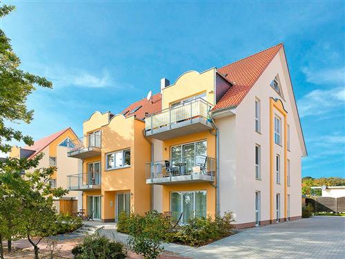 Holiday Home/Apartment - 4 persons -  - Leuchtturmstr. - 18230 - Rerik