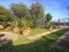 Afbeelding 33