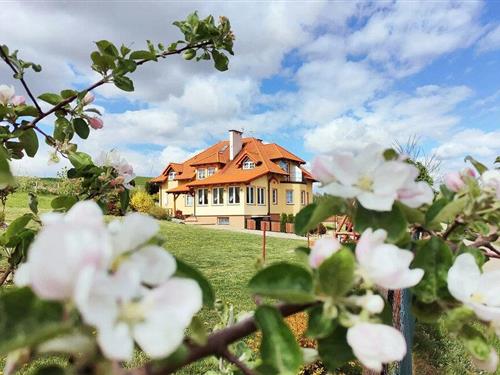 Holiday apartment - 2 persons -  - Pierszczewo - Pierszczewo - 83-316 - Golubie