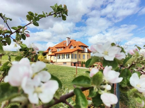 Holiday apartment - 2 persons -  - Pierszczewo - Pierszczewo - 83-316 - Golubie