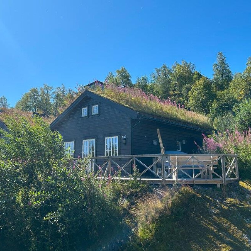 Sommerhus - 6 personer -  - Nedre Ørnefjellvegen - Ljosland/Åseral - 4540 - Åseral