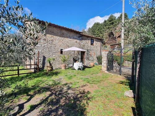 Ferienhaus - 6 Personen -  - Colognora - 55064