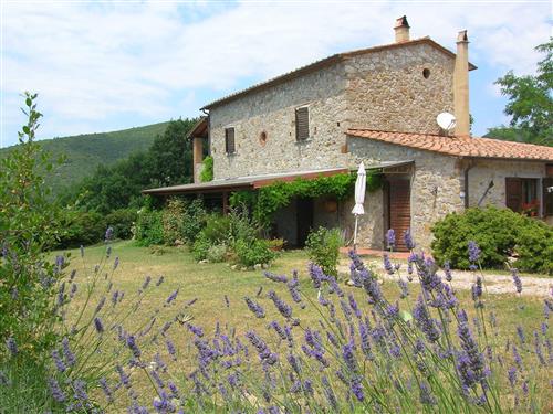 Ferienwohnung - 2 Personen -  - Castellina Marittima - 56040