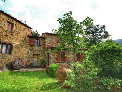 Bondehus - 4 personer -  - 52044 - Cortona