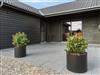 Bild 20 - Aussen