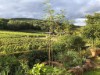Image 18 - Outside