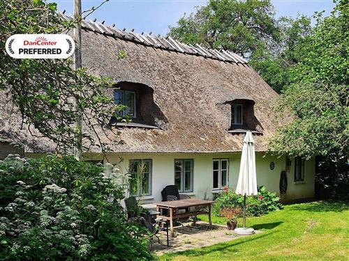 Sommerhus - 6 personer -  - Almstedskov - Nørre Kettingskov - 6440 - Augustenborg