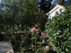 Bilde 8