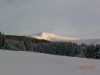 Bilde 5