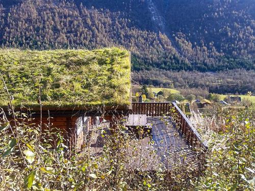 Sommerhus - 9 personer -  - Bygardslii - Myrkdalen/Voss - 5713 - Vossestrand