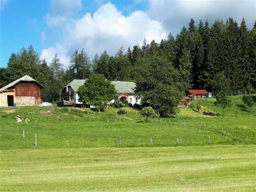Ferieleilighet - 4 personer -  - Steinhütte - 94252 - Bayerisch Eisenstein
