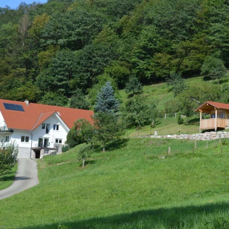 Sommerhus - 6 personer -  - 77728 - Oppenau