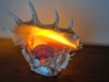 Bild 16