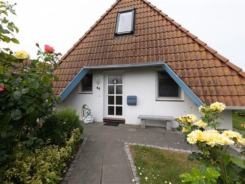 Holiday Home/Apartment - 6 persons -  - Mellumplate - 27639 - Wurster Nordseeküste