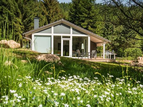 Sommerhus - 4 personer -  - Altensteiner Straße - 99842 - Ruhla