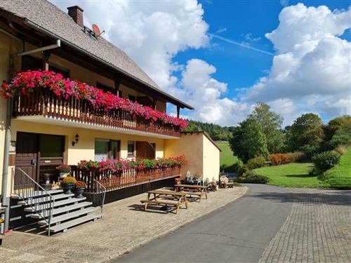 Ferienhaus - 1 Person -  - Lavastr. - 54552 - Darscheid