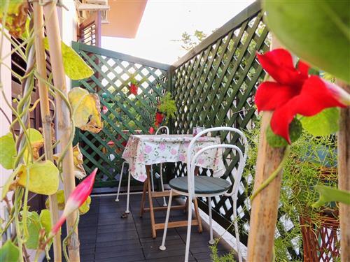 Holiday Home/Apartment - 2 persons -  - Pag - 23250 - Pag