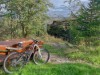 Billede 24