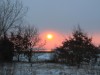 Bild 36