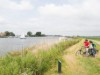 Billede 19