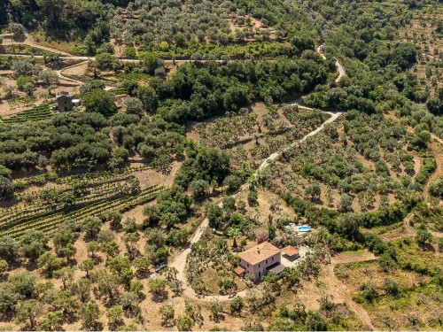 Sommerhus - 10 personer -  - Loc. Guerra - S.Mauro Cilento - 84070 - S.Mauro Cilento -Sa-