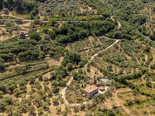 Sommerhus - 10 personer -  - Loc. Guerra - S.Mauro Cilento - 84070 - S.Mauro Cilento -Sa-