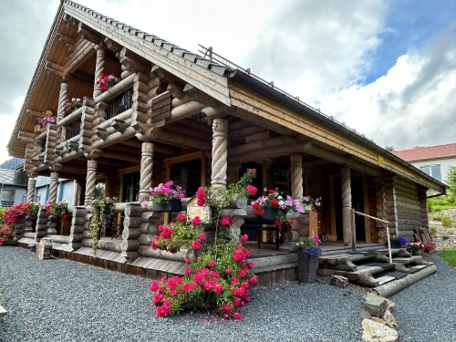 Sommerhus - 10 personer -  - Theodor-Hein-Straße - 38644 - Hahnenklee